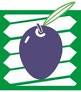 Logo Olivarera Sor Ángela de la Cruz S. Coop. Andaluza